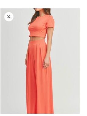 High-Waist Wide Leg Coral pants and crop